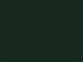 RAL 6009 Verde abeto